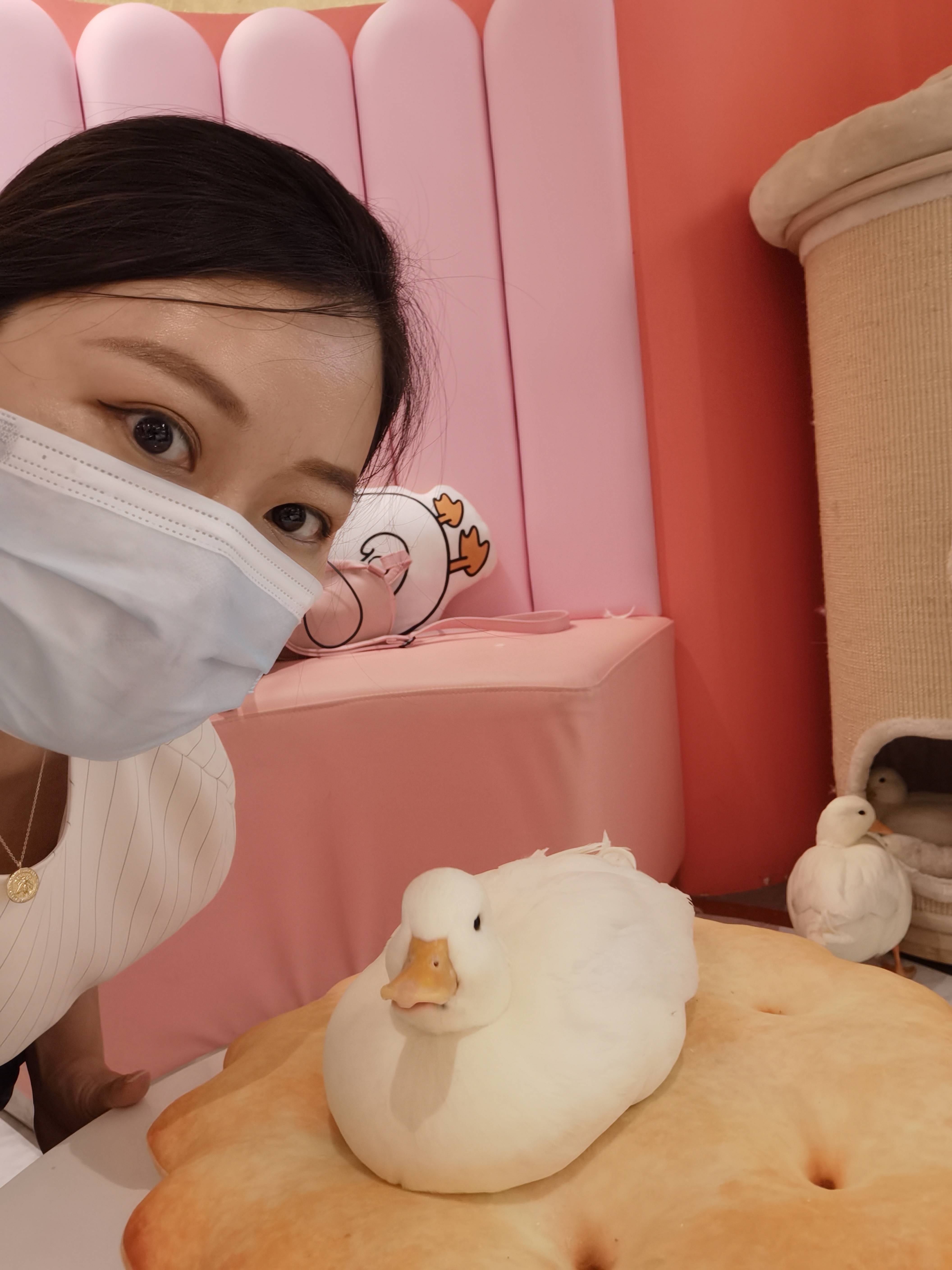 时尚编辑逛鸭店,王思聪王珞丹爱的万元鸭到底有多好撸?丨【嗨!POP】