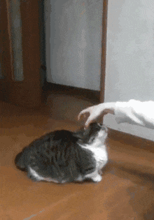 搞笑GIF:大姐,怨不得别人,这事故你得负全责啊