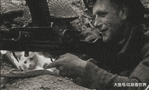搞笑GIF:大嫂在大哥的指导下第一次学骑电动车,有点小激动