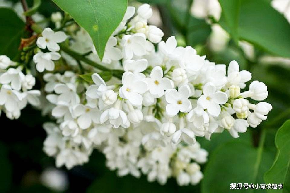 内涵深刻的人生感悟,韵味十足,读读受益无穷