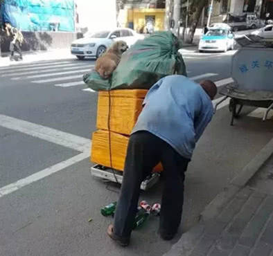 大爷捡漏不忘流浪狗,每天都放车上一起行动,场面温馨惹人泪目