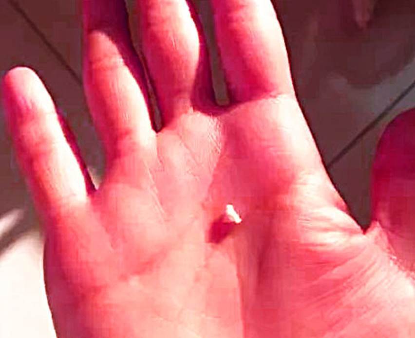 猫咪咬主人时,附送了一个“礼物”,当看清时,瞬间不淡定了!