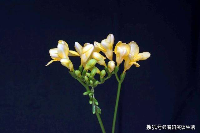 说到心里的情感句子,句句入骨,令人泪奔