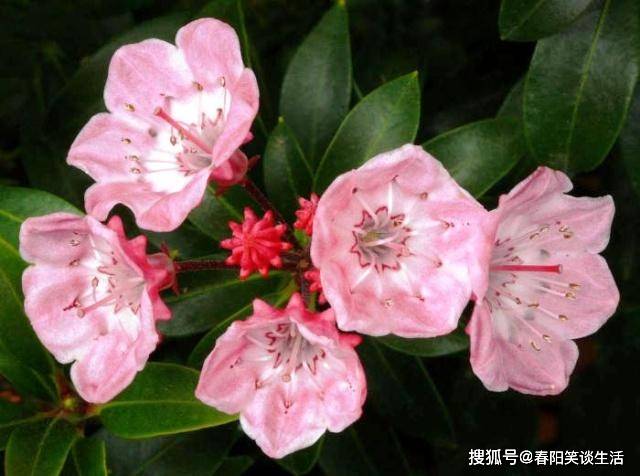 精辟心灵的个性签名,句句走心,让人深思