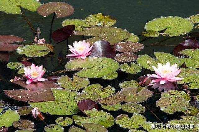 珍藏很久的经典句子,句句实用,醒悟人生