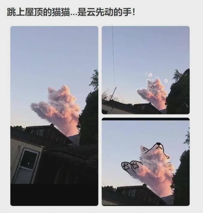 世界上有一种“猫毒”,中了这种毒的人天天看啥都像猫
