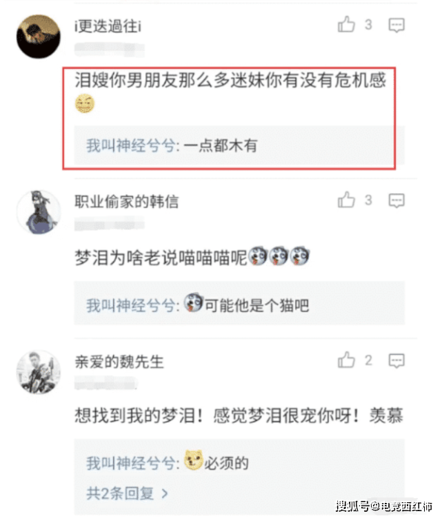 王者荣耀:梦泪喜欢别人怎么办?梦嫂说了5个字,我承认我羡慕了