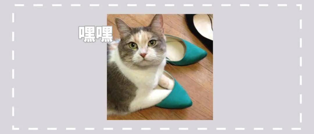 猫咪:“主人的臭鞋,真让本喵爱不释手”