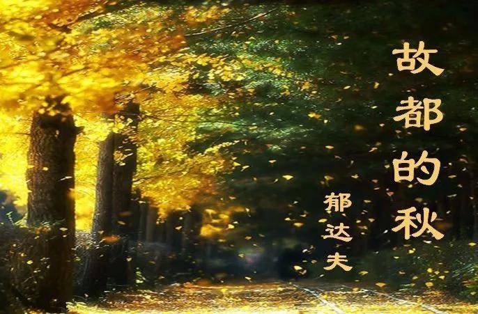 2017年真题--故都的秋