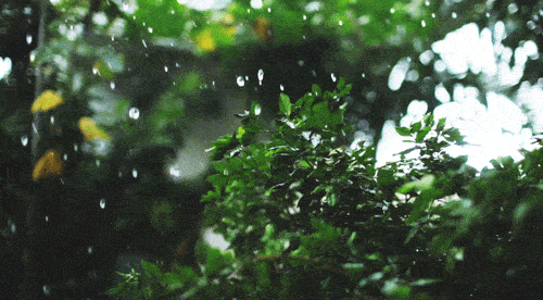 雨中山果落,灯下草虫鸣,心中有丘壑,眉目作山河