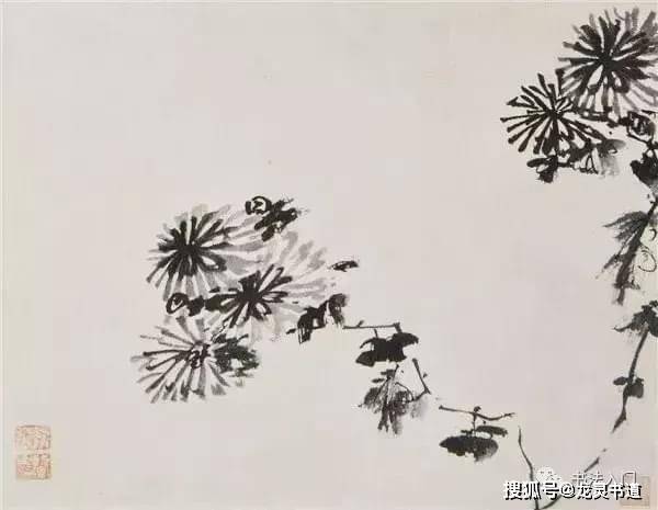 写菊|八大和苦瓜