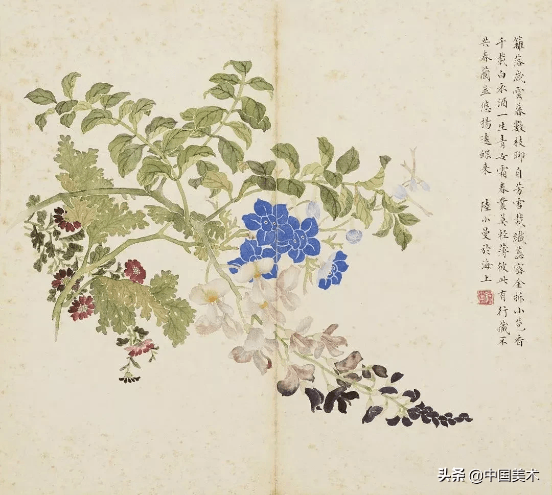 陆小曼花卉册页,惊艳