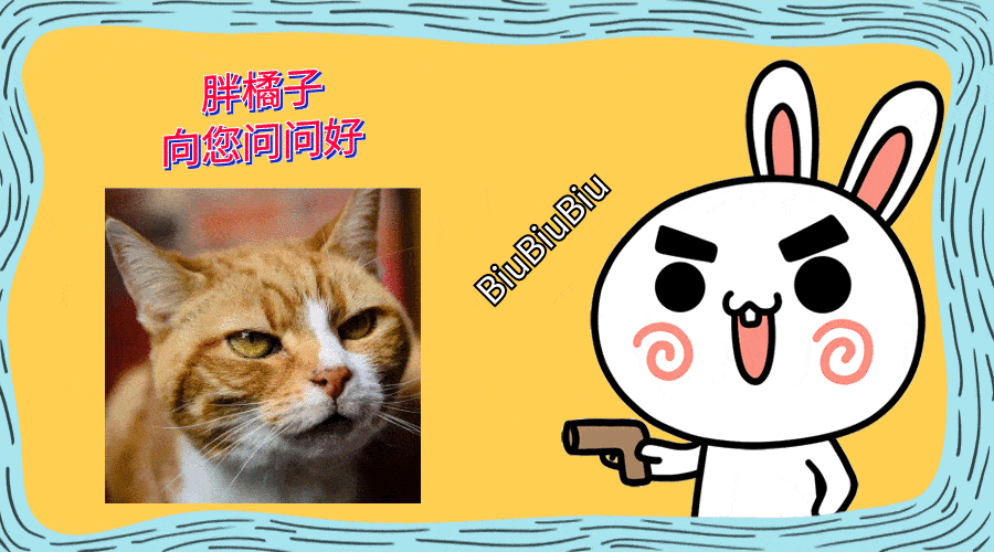 狸花猫在外玩耍三天,回家时却带着一张纸条,原因让人哭笑不得