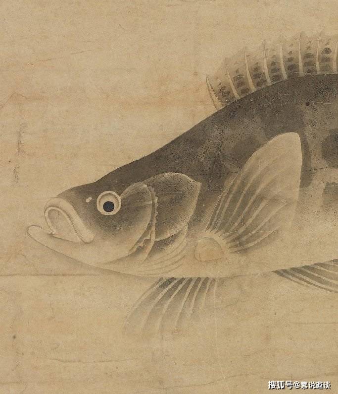 画一条鳜鱼价值500万,比齐白石画的鱼还要贵,这个画家不简单