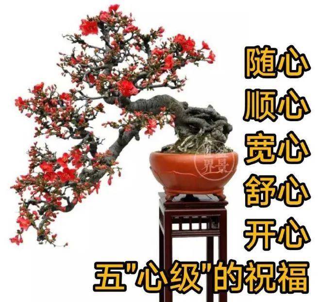 微信最新款早安祝福问候图片,早上好祝福表情问候图片带字