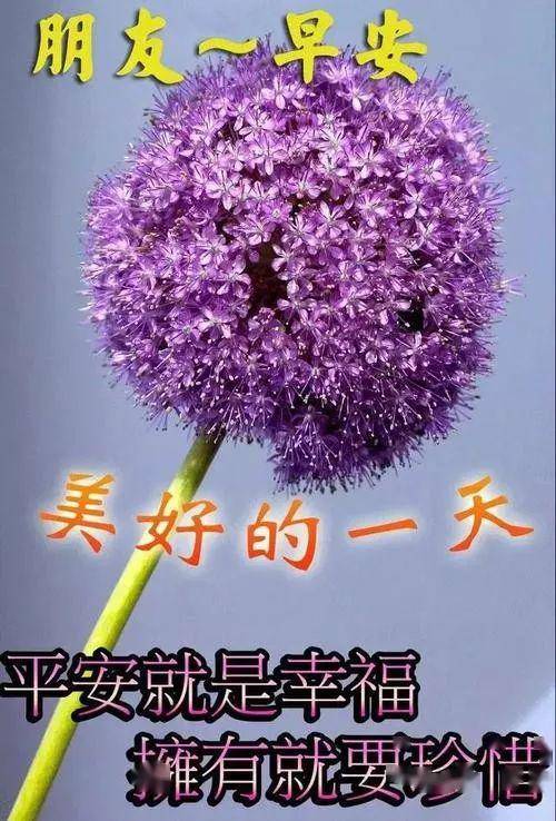 周末问候大家早上好祝福语录图片 特漂亮早上好图片表情动态带字