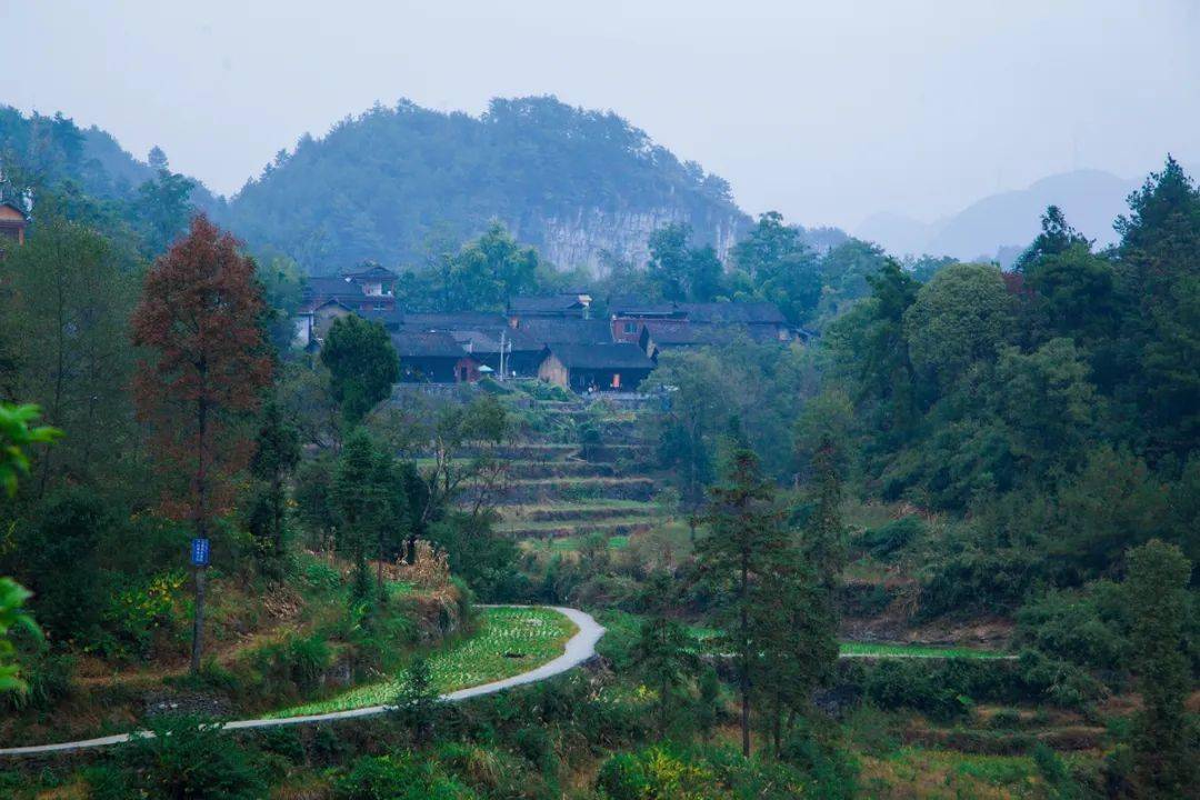 除了凤凰,湘西还有这个悬崖上的秘境!快去打卡吧~