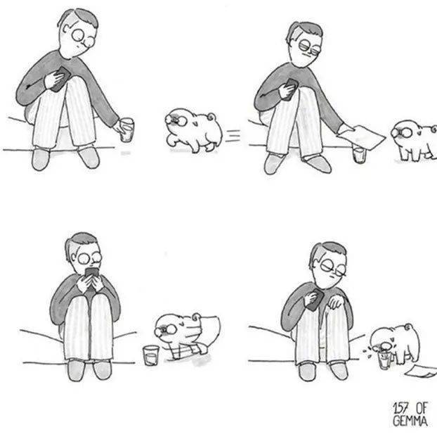 你养狗也这样,准的我无话可说
