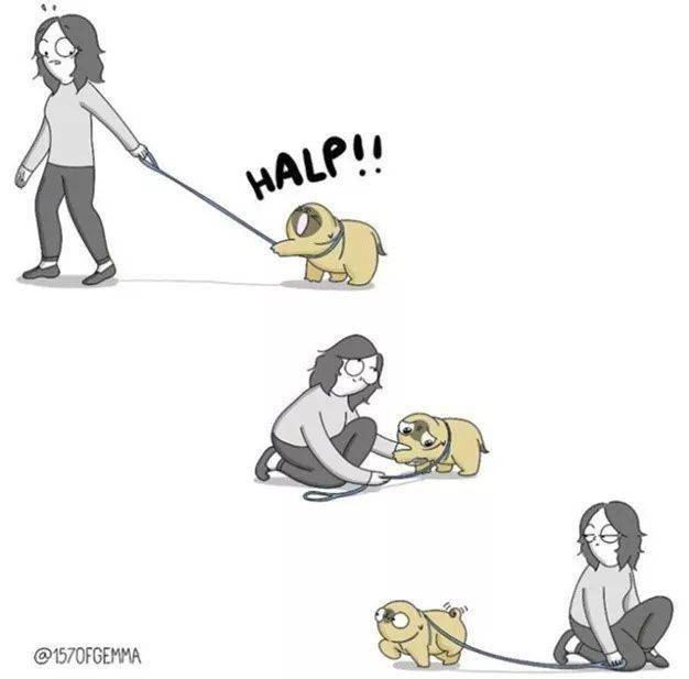 你养狗也这样,准的我无话可说
