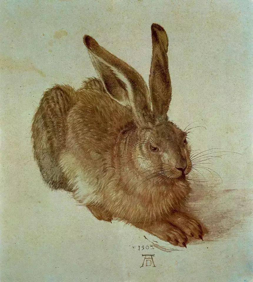 世界上第一幅水彩画《野兔》——德国画家丢勒水彩画合集(多图)