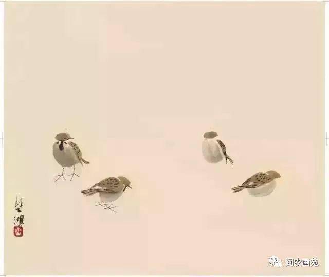 徐悲鸿“手把手”教画花鸟,干货。
