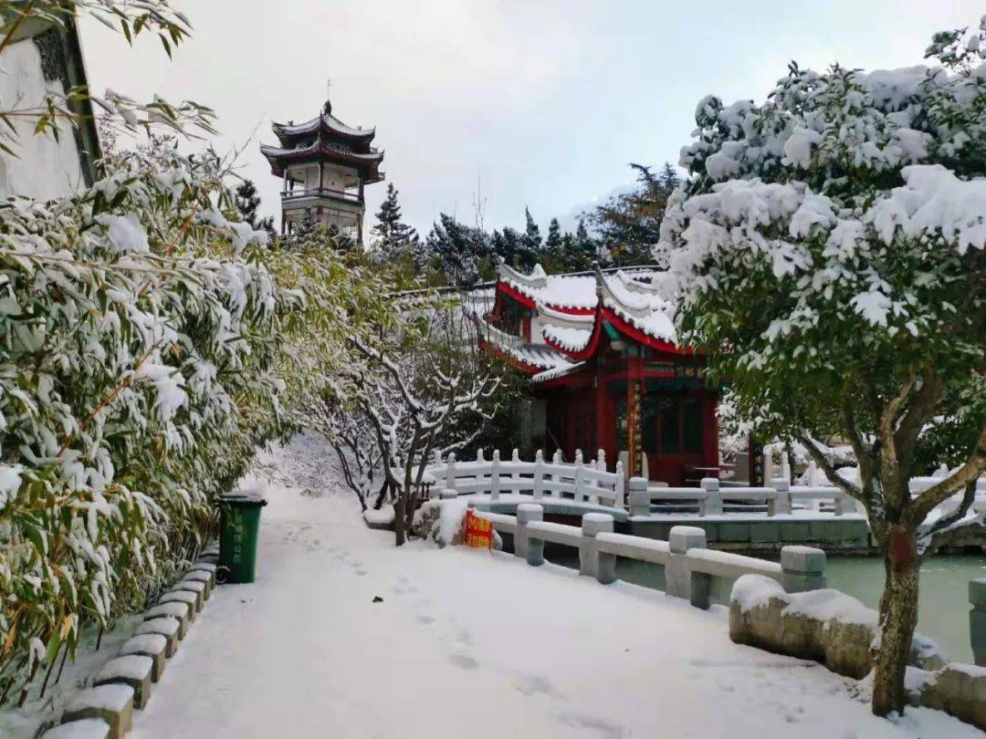 一场大雪,让烟台美翻全国