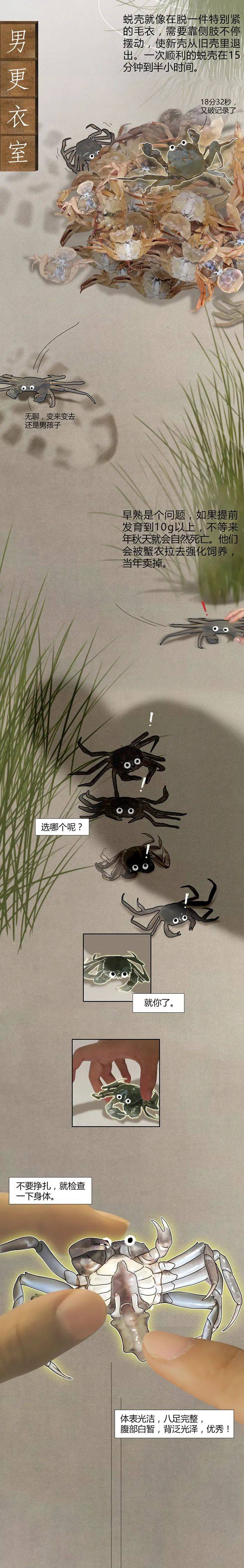 蟹塘梦幻曲
