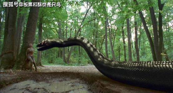史前最大蟒蛇:泰坦巨蟒,身长可达15米,重1吨
