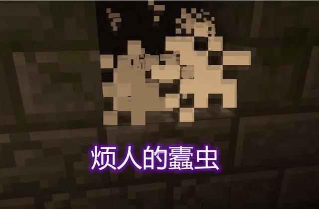 我的世界:蠹虫在灵魂沙上会窒息死亡?很像的螨虫,却能自主消失