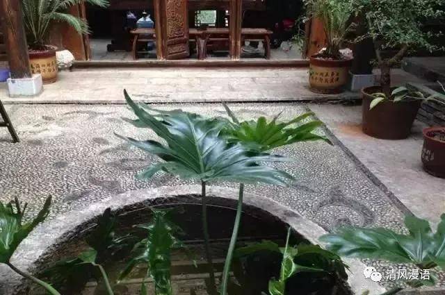一座小院,粗茶淡饭;爱人在侧,余生不弃