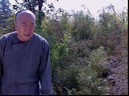 22年后《日落紫禁城》演员对比,三位女主都成影后,男主沦为配角