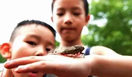我们小时候,为啥不怕热?看完不许哭……