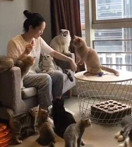 一群猫咪只有它最显眼,看到它的动作网友惊呼:太聪明了!