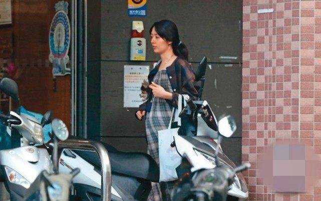 向太回应“郭碧婷产前抑郁”,透露向佐夫妇相处细节,怒怼网友:不想人家好