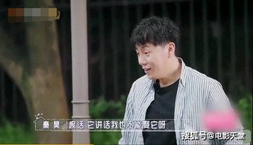 上综艺秒变吐槽达人,能治得了伊能静的也就只有秦昊了