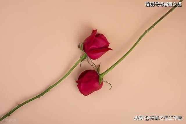 诗歌集节选(一)聊聊如何
