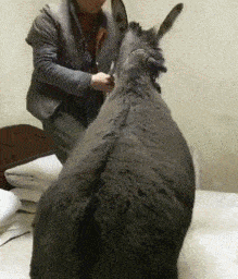 搞笑GIF:好漂亮的姑娘,想知道她是谁吗