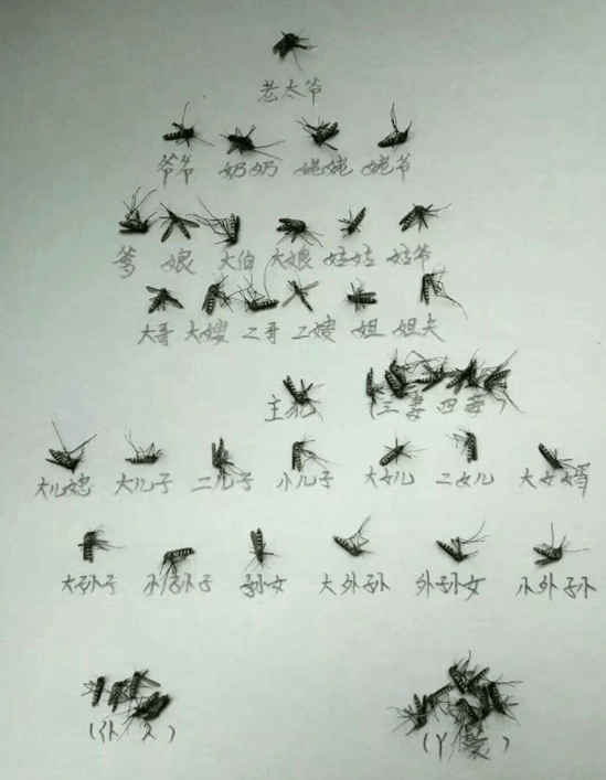 笑话:公司聚会,突然一男同事手机响了,刚接通,一女同事就