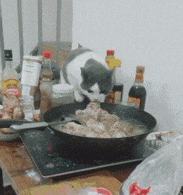 搞笑GIF:大姐,怨不得别人,这事故你得负全责啊