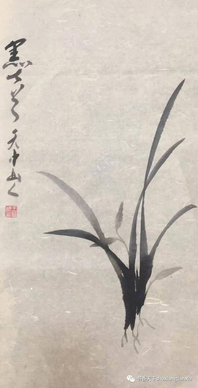 孙 勇:空谷生幽兰|书香天下