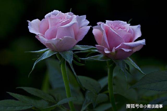 很入心的人生感悟句子,经典现实,催人奋进
