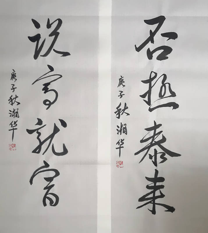 医学画家湘华的书画