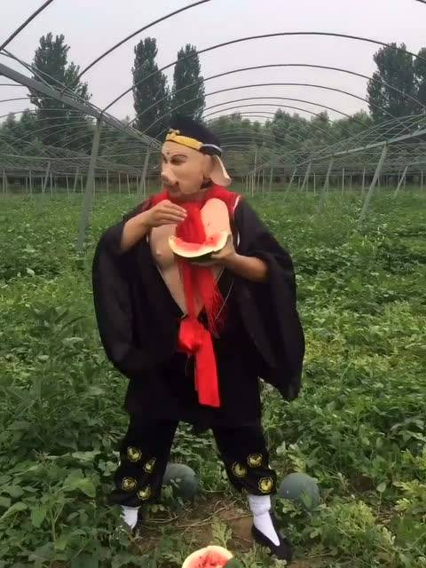 搞笑GIF段子:第一次吃到柠檬的狗子