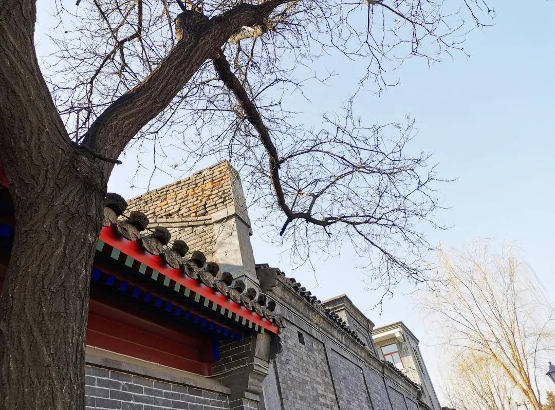 芳华留不住,岁月已白头|阅读时光