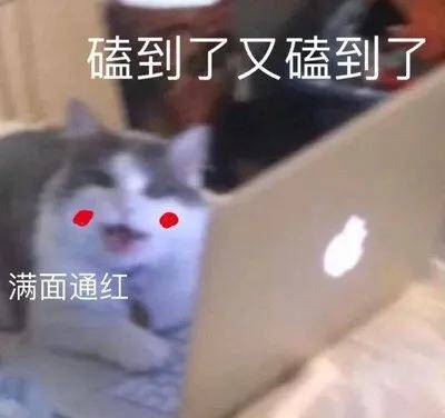 终于有一部女性带飞的悬疑推理剧了