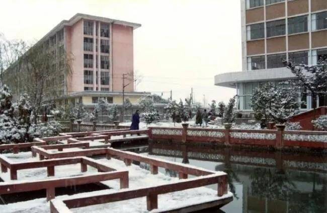1993年,成都下了一场北方的雪