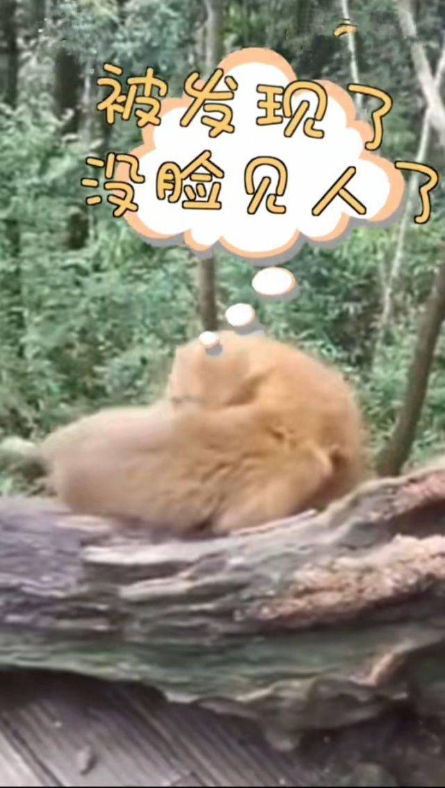 蝎子精连如来佛都敢蛰,为何惧怕女儿国国王?说出来你都不信