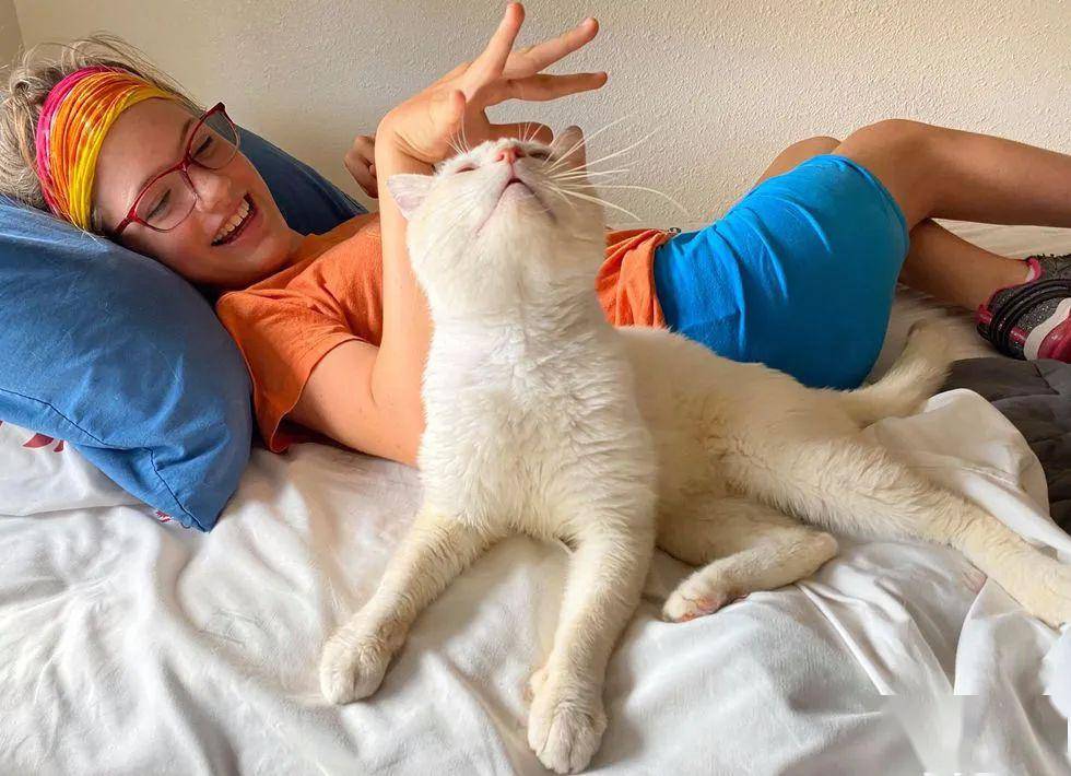 坐电动轮椅去领养猫,很多猫都被吓跑,唯有它敢主动接近!