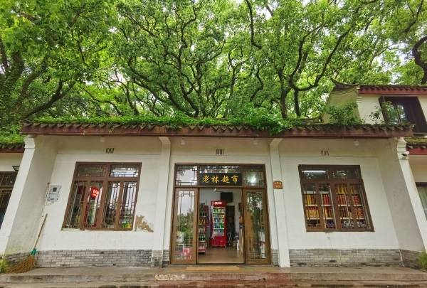 普陀山日记 | 山上的人,岛上的人