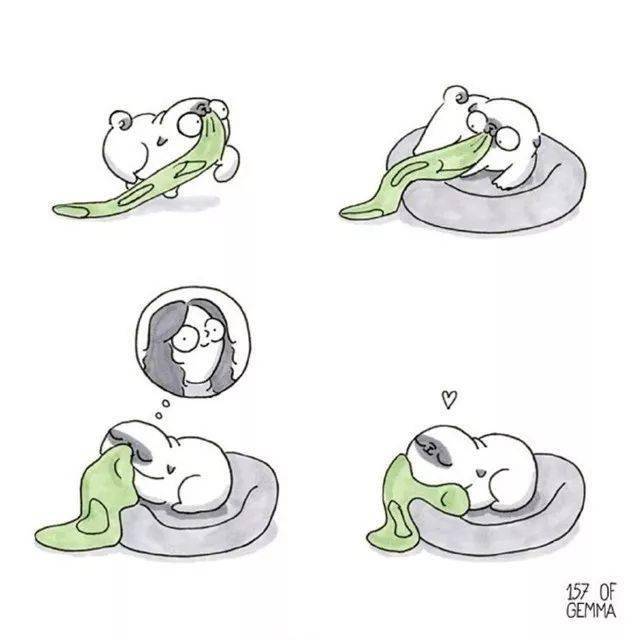 你养狗也这样,准的我无话可说